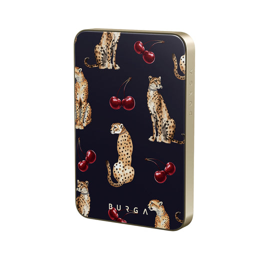 PA_01MS_MagPbank5K-GO